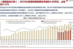 TON遭遇大幅下滑超431%，投资者恐慌性抛售-半岛体育注册网址