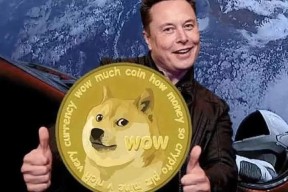 包含马斯克再次发推，SHIB瞬间上上扬狗狗币%的词条-半岛体育官网
