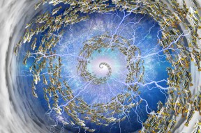AVAX官方发布与33.68携手，开启元宇宙新纪元！，引爆行情的简单介绍-半岛体育下载