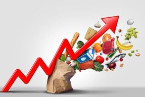 AVAX上扬势惊人，一夜飙升32.18%，加密市场沸腾-半岛体育APP