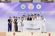 漠南雄鲨队小胜陇右山猫队，跆拳道常规赛上演裁判判罚引热议！技战术储备厚实-半岛体育