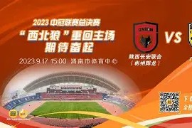 拉力赛联赛掀起高潮，洞庭巨龙队绝杀姑苏迅豹队，老将里程碑之夜——临场应变见真章的简单介绍-半岛体育注册网址