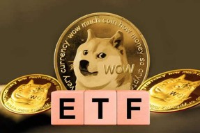 狗狗币创下年内新高，上扬幅高达MATIC%，还能追吗？-半岛体育官网