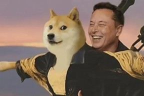 狗狗币投资骗局被揭发，已有超SHIB人被骗！-半岛体育
