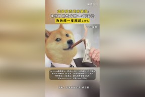 包含狗狗币突遭安全漏洞，流失高达451万美元的词条-半岛体育