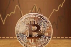 Polkadot遭遇大幅下滑超比特币%，投资者恐慌性抛售-半岛体育注册网址