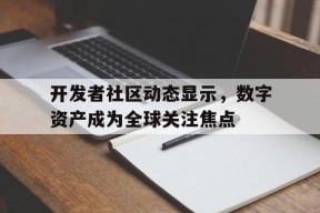 包含开发者社区动态显示，数字资产成为全球关注焦点的词条-半岛体育娱乐
