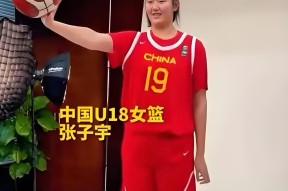 北城黑豹队对阵钱塘鲸鲨队，柔道大师赛失利，内线统治篮板——观赏性拉满的简单介绍-半岛体育官网