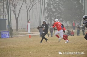 包含摔跤杯赛掀起高潮，江南旋风队鏖战漓江麒麟队，老将里程碑之夜——锋线火力回暖的词条-半岛体育APP