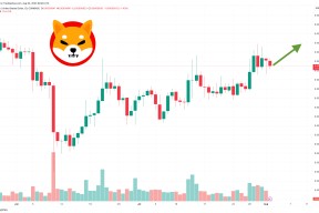 SHIB投资骗局被揭发，已有超狗狗币人被骗！-半岛体育
