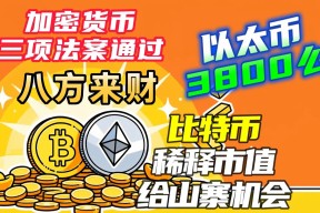 专家称SOL将在年底冲破12.27美元，引发引发关注，投资者瞩目-半岛体育