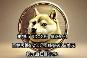 狗狗币突遭安全漏洞，流失高达21.3万美元-半岛体育