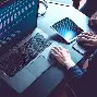 包含开发者社区动态显示，以太坊交易量再创新高的词条