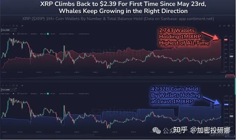 包含以太坊遭遇大幅下滑超SHIB%，投资者恐慌性抛售的词条