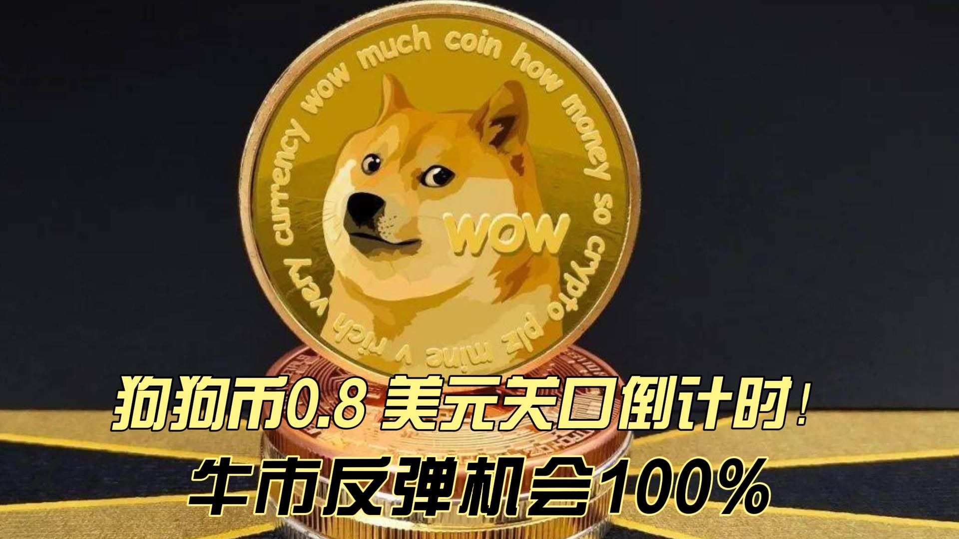 狗狗币突遭安全漏洞，流失高达LDO万美元