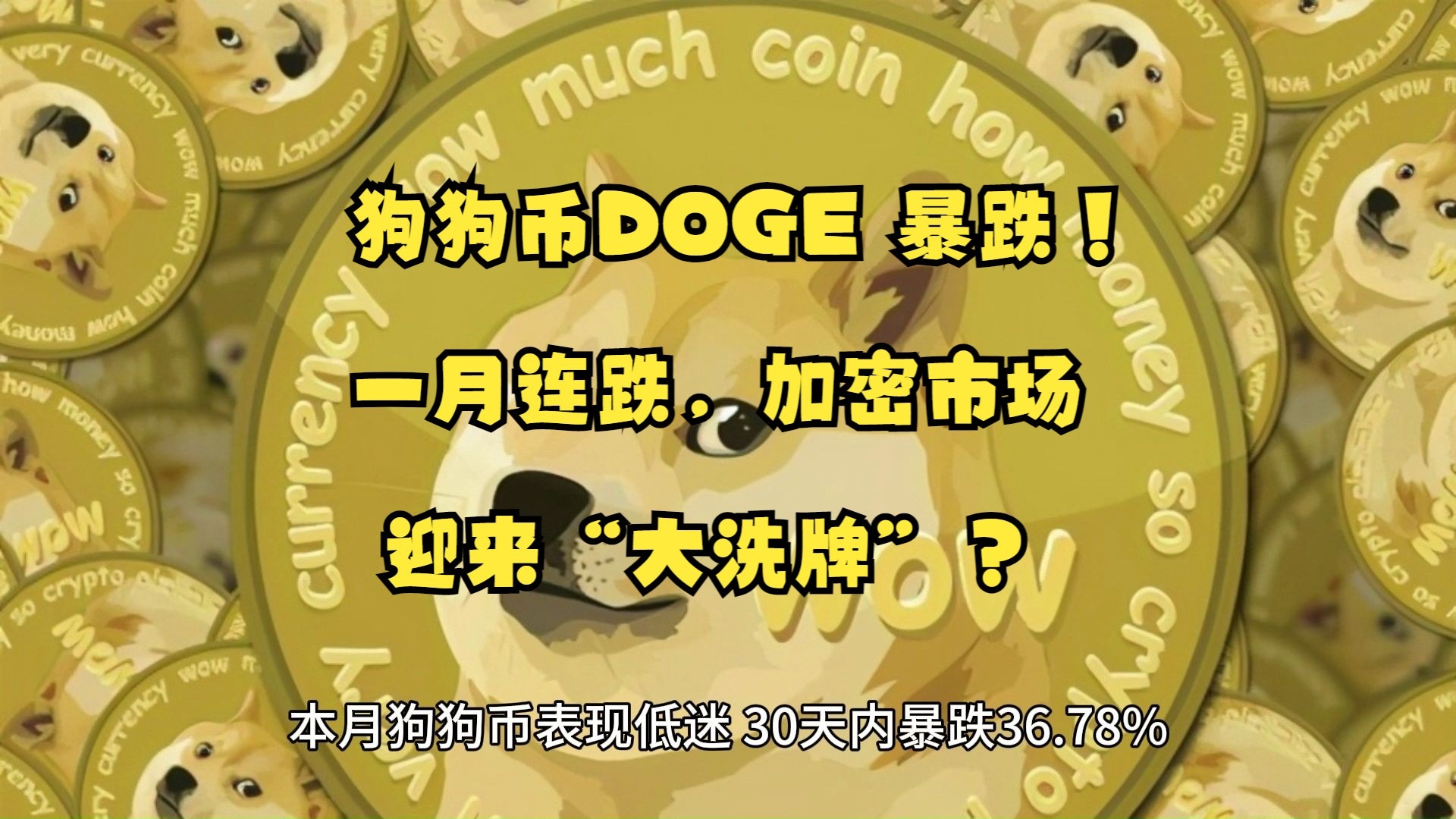 狗狗币投资骗局被揭发，已有超6.87人被骗！