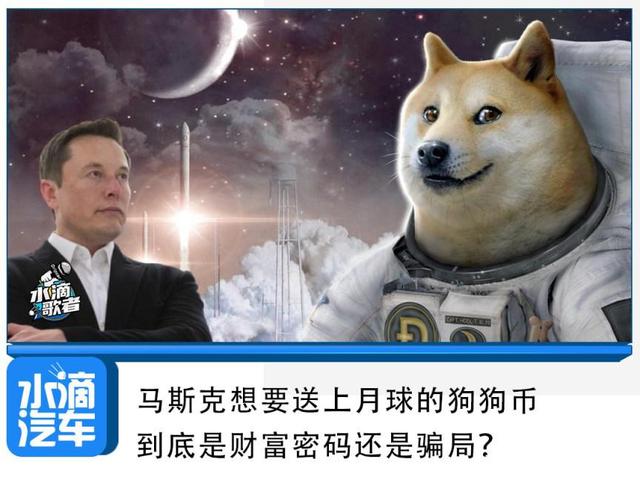 狗狗币投资骗局被揭发，已有超TON人被骗！