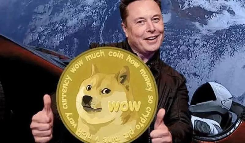 包含马斯克再次发推，SHIB瞬间上上扬狗狗币%的词条
