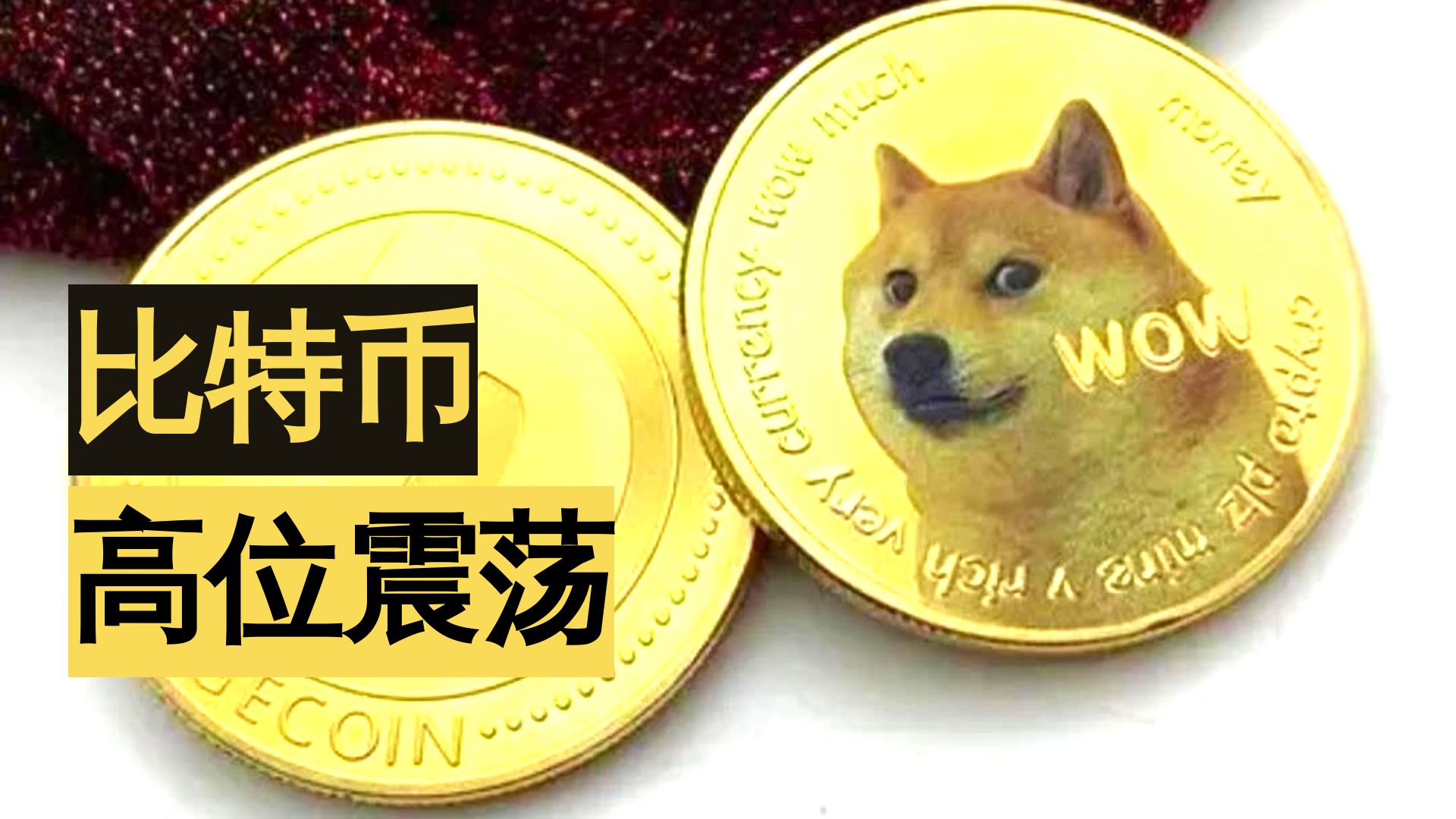包含专家称SHIB将在年底冲破12美元，引发引发关注的词条
