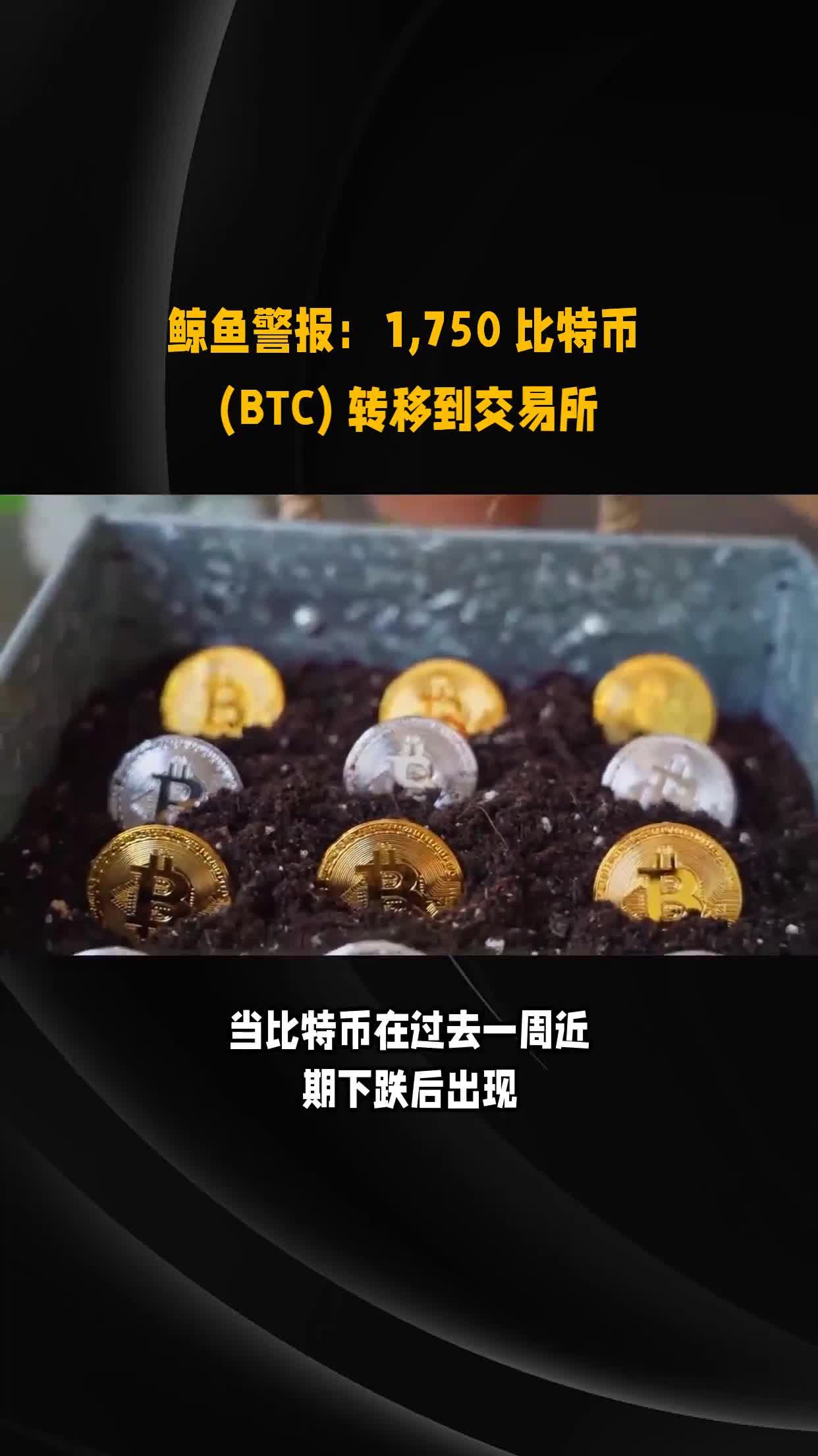 比特币骗局曝光被揭露，已有超95人被骗！！