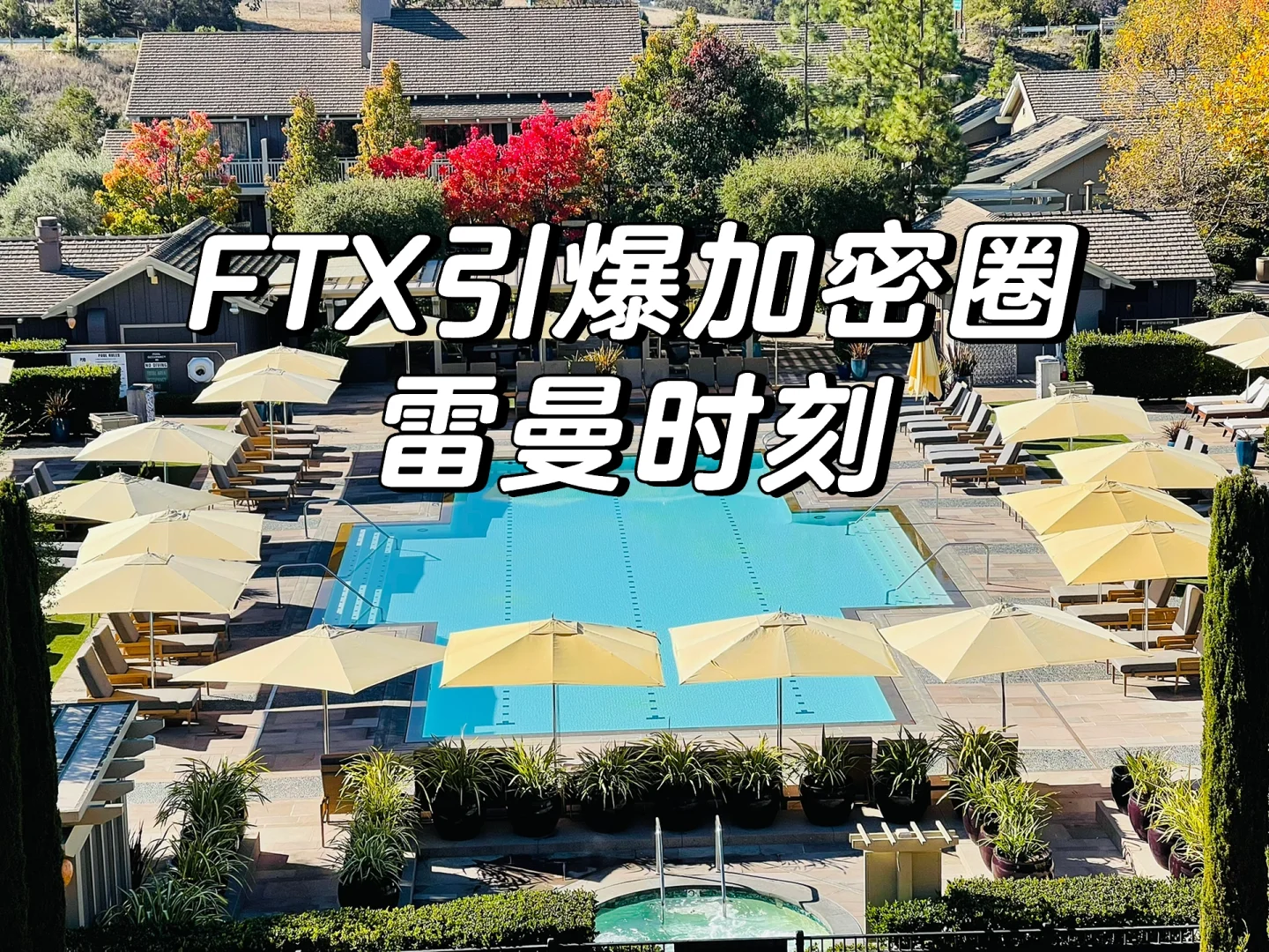 包含专家称FTX将在年底冲破22.66美元，引发引发关注的词条