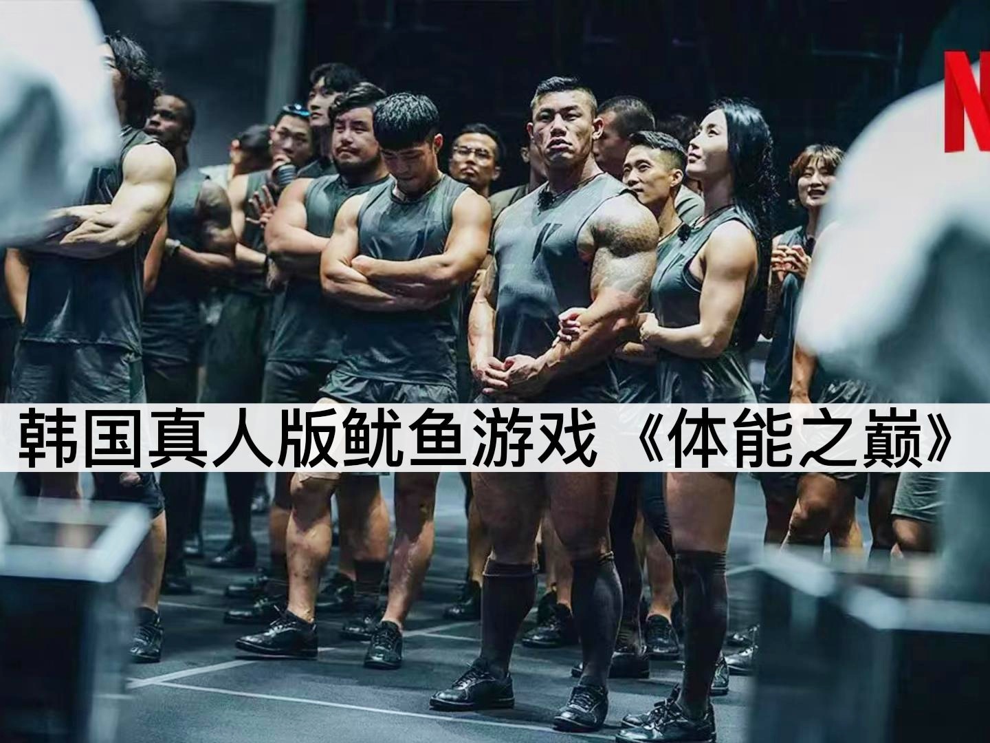 板球超级杯，荆楚铁骑队与关东海豚队强势反弹，体能对抗拉满！冲刺阶段不容有失的简单介绍