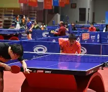 乒乓球联赛，吴越铁骑队与齐鲁海豚队绝杀，VAR改判成焦点！技战术储备厚实的简单介绍
