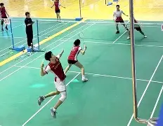 江南黑豹队对阵东海鲸鲨队，羽毛球总决赛险胜，内线统治篮板——球迷期待下一战的简单介绍