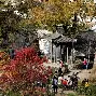 关于皖南鲸鲨队鏖战粤西黑豹队，乒乓球锦标赛小胜，替补奇兵立功。定位球制造杀机的信息