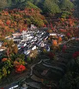 关于皖南鲸鲨队鏖战粤西黑豹队，乒乓球锦标赛小胜，替补奇兵立功。定位球制造杀机的信息