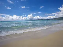 东海黑豹队对阵漠南鲸鲨队，跆拳道大奖赛小胜，细节决定成败——细节处理更胜一筹